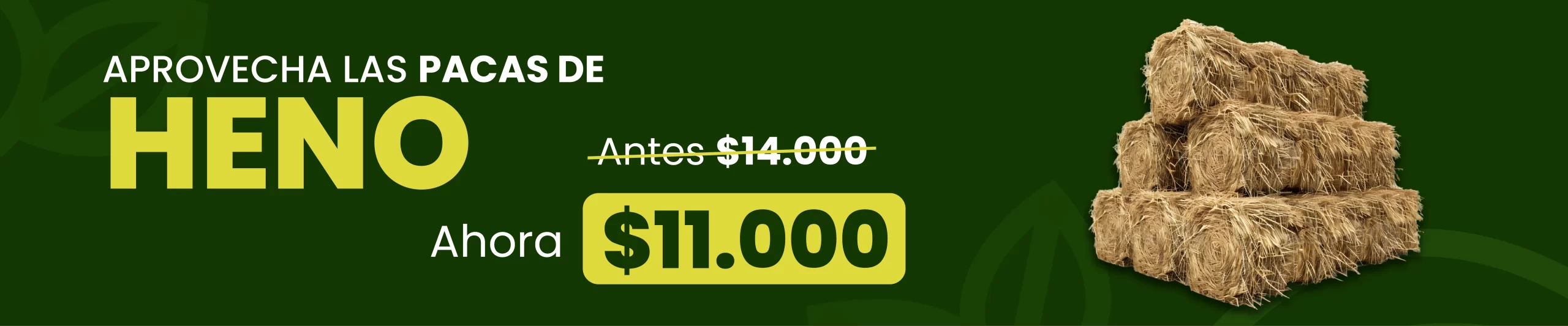 -_BANNER HENO COMPLETO